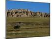 Photographic Print