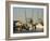 Lazaretto Creek Fishing Port, Tybee Island, Savannah, Georgia-Richard Cummins-Framed Photographic Print