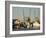 Lazaretto Creek Fishing Port, Tybee Island, Savannah, Georgia-Richard Cummins-Framed Photographic Print