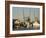 Lazaretto Creek Fishing Port, Tybee Island, Savannah, Georgia-Richard Cummins-Framed Photographic Print