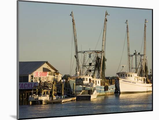 Lazaretto Creek Fishing Port, Tybee Island, Savannah, Georgia-Richard Cummins-Mounted Photographic Print