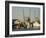 Lazaretto Creek Fishing Port, Tybee Island, Savannah, Georgia-Richard Cummins-Framed Photographic Print