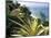 Lazio Beach, Chevalier Bay, Northwest Coast, Island of Praslin, Seychelles, Indian Ocean, Africa-Bruno Barbier-Mounted Photographic Print