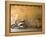 Lazise, Lago Di Garda, Veneto, Italy-Demetrio Carrasco-Framed Premier Image Canvas