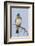 Lazuli bunting singing-Ken Archer-Framed Photographic Print