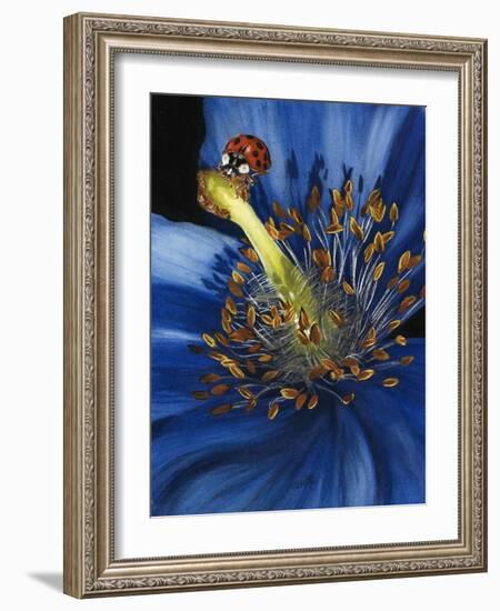 Lazuline-Barbara Keith-Framed Giclee Print