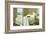 Lazy Afternoon-Zhen-Huan Lu-Framed Giclee Print