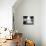 Lazy Afternoon-Josh Adamski-Mounted Photographic Print displayed on a wall