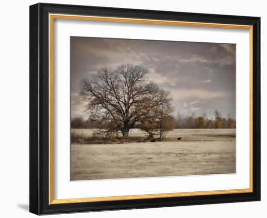 Lazy Autumn Day-Jai Johnson-Framed Giclee Print