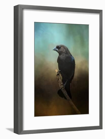 Lazy Bird-Jai Johnson-Framed Giclee Print