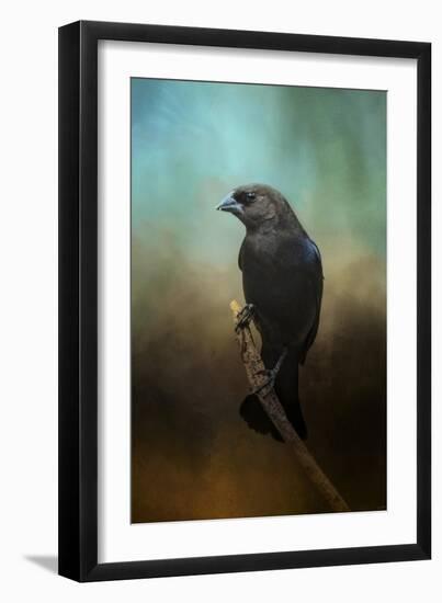 Lazy Bird-Jai Johnson-Framed Giclee Print