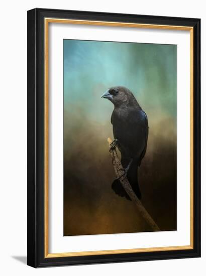 Lazy Bird-Jai Johnson-Framed Giclee Print