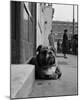 Lazy Bulldog at Camden Town-John Gay-Mounted Art Print