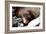 Lazy Day Seal-Charles Glover-Framed Art Print