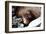 Lazy Day Seal-Charles Glover-Framed Art Print