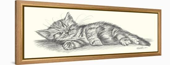 Lazy Days III-Steve O'Connell-Framed Stretched Canvas