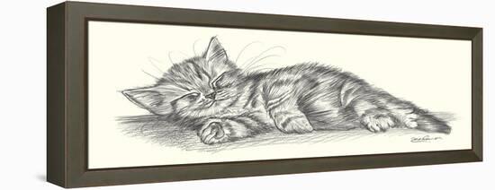 Lazy Days III-Steve O'Connell-Framed Stretched Canvas