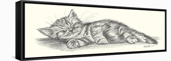 Lazy Days III-Steve O'Connell-Framed Stretched Canvas