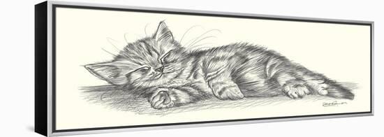 Lazy Days III-Steve O'Connell-Framed Stretched Canvas