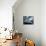 Lazy Days-Gordon Semmens-Mounted Photographic Print displayed on a wall