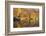 Lazy Days-Doug Chinnery-Framed Photographic Print