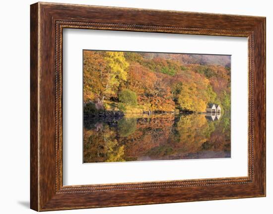 Lazy Days-Doug Chinnery-Framed Photographic Print