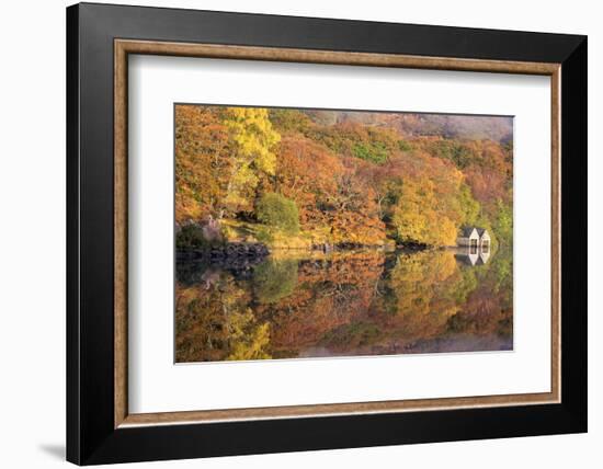 Lazy Days-Doug Chinnery-Framed Photographic Print