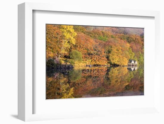 Lazy Days-Doug Chinnery-Framed Photographic Print