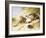 Lazy Days-Margaret Collyer-Framed Giclee Print