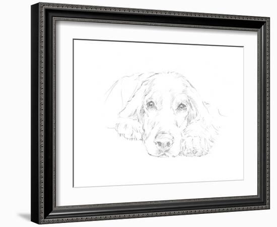 Lazy Dog II-Ethan Harper-Framed Art Print