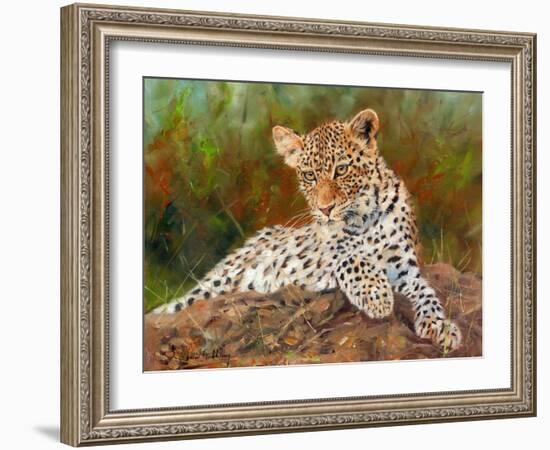 Lazy Leopard-David Stribbling-Framed Art Print