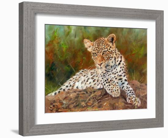 Lazy Leopard-David Stribbling-Framed Art Print