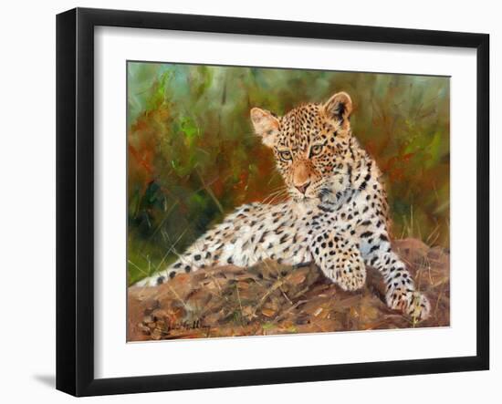 Lazy Leopard-David Stribbling-Framed Art Print