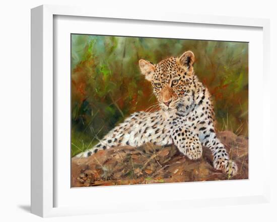 Lazy Leopard-David Stribbling-Framed Art Print