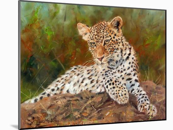 Lazy Leopard-David Stribbling-Mounted Art Print