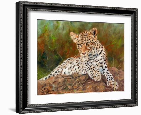 Lazy Leopard-David Stribbling-Framed Art Print