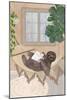 Lazy sloth in hammock-Sarah Manovski-Mounted Giclee Print