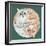 Lazy Sunday Cat III-Tara Royle-Framed Art Print