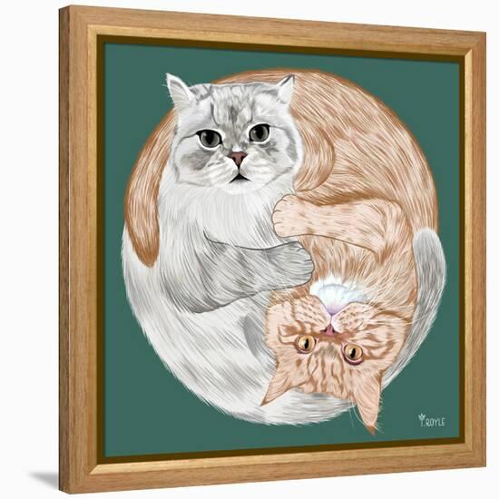 Lazy Sunday Cat III-Tara Royle-Framed Stretched Canvas