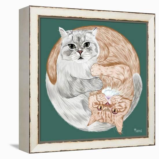 Lazy Sunday Cat III-Tara Royle-Framed Stretched Canvas