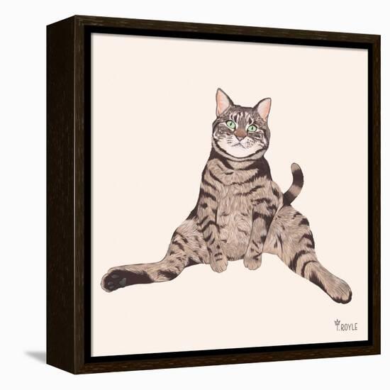 Lazy Sunday Cat IV-Tara Royle-Framed Stretched Canvas