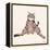 Lazy Sunday Cat IV-Tara Royle-Framed Stretched Canvas