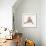 Lazy Sunday Cat IV-Tara Royle-Framed Art Print displayed on a wall