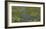 Le Bassin aux Nymphéas-Claude Monet-Framed Premium Giclee Print