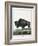 Le Bison Illustration-null-Framed Giclee Print