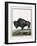 Le Bison Illustration-null-Framed Giclee Print