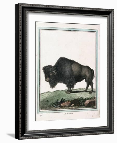 Le Bison Illustration-null-Framed Giclee Print