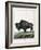 Le Bison Illustration-null-Framed Giclee Print