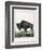 Le Bison Illustration-null-Framed Giclee Print