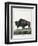 Le Bison Illustration-null-Framed Giclee Print